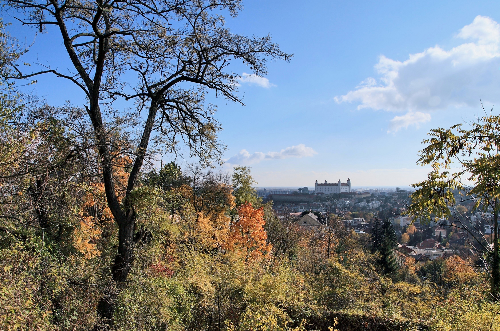 Erinnerungen an den Herbst II