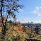 Erinnerungen an den Herbst II