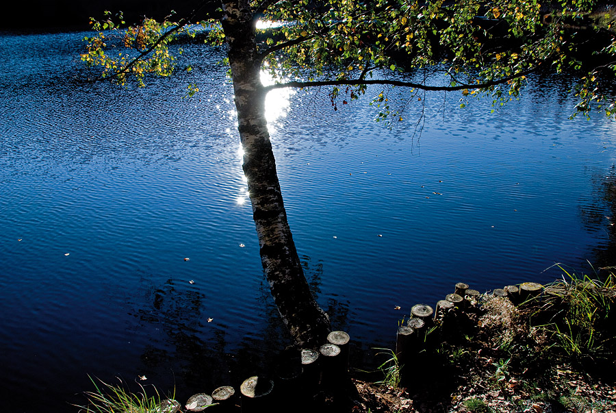 Erinnerungen an den letzten Herbst