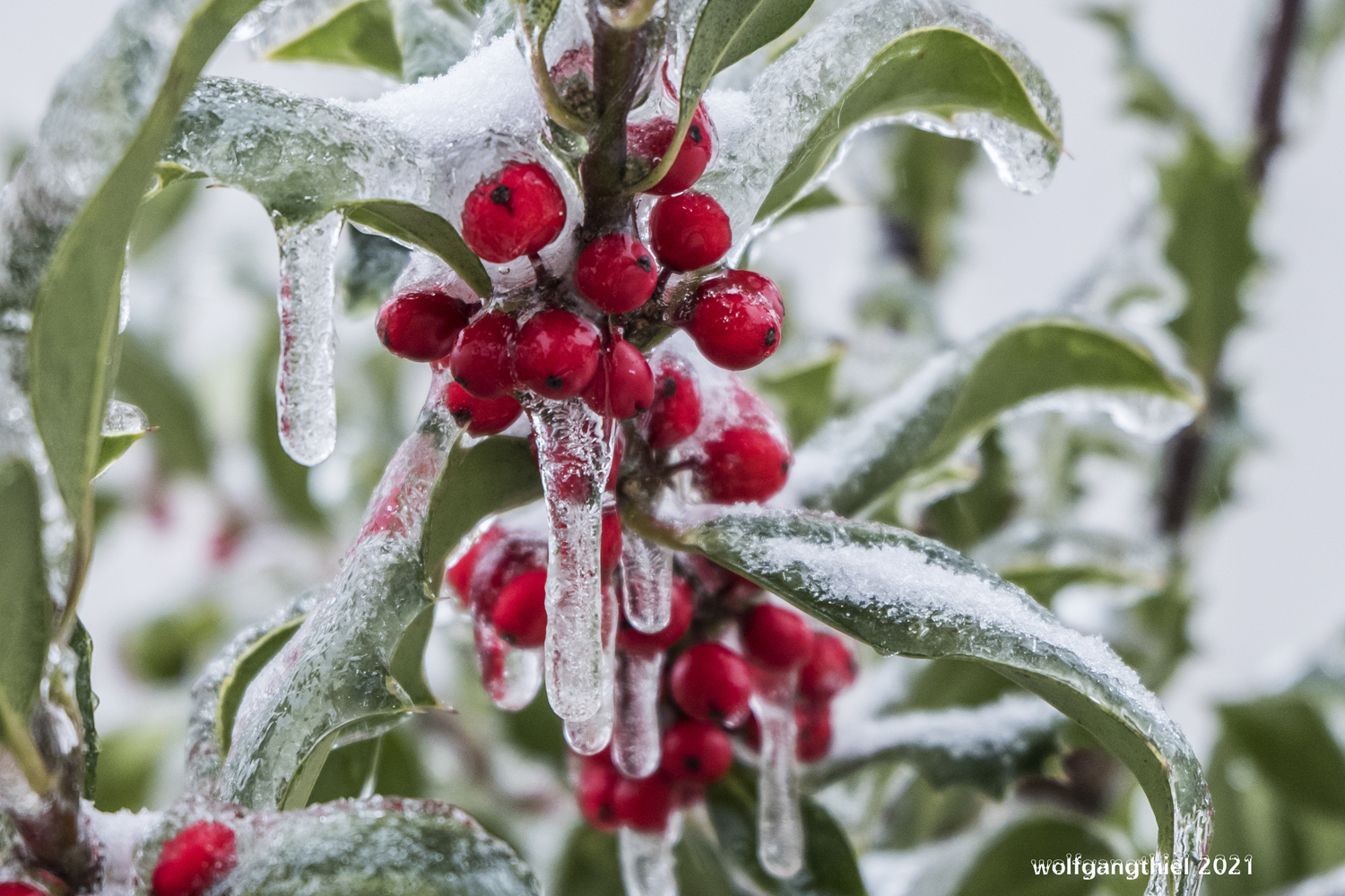 Erinnerungen an den letzten Winter