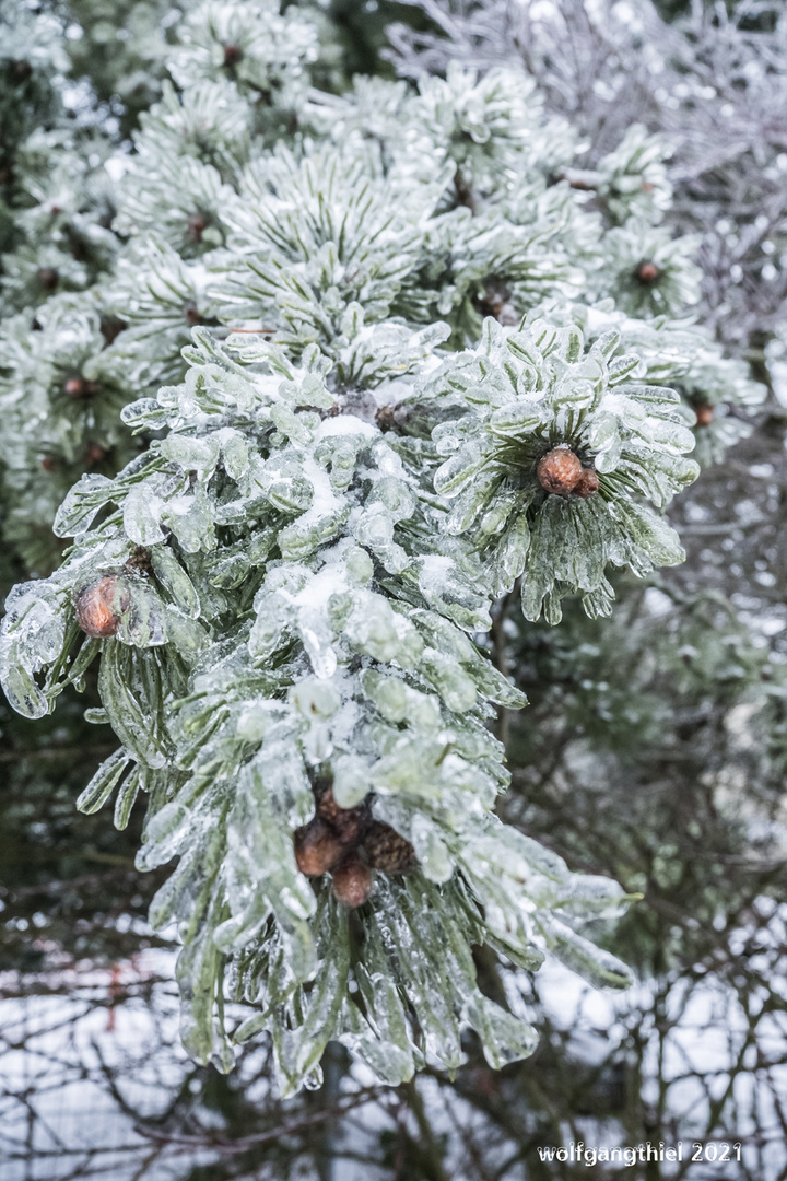 Erinnerungen an den letzten Winter