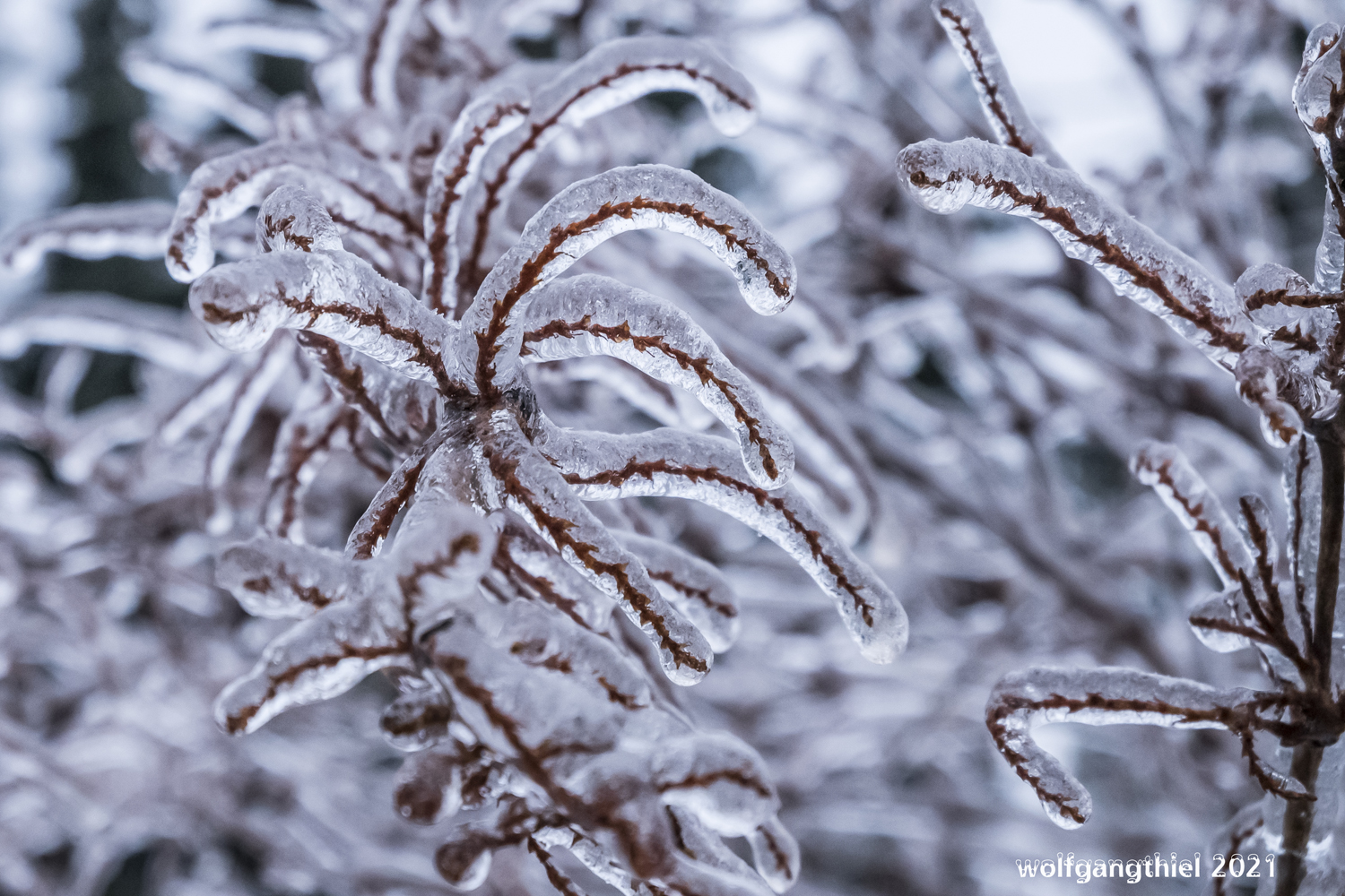 Erinnerungen an den letzten Winter