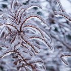 Erinnerungen an den letzten Winter