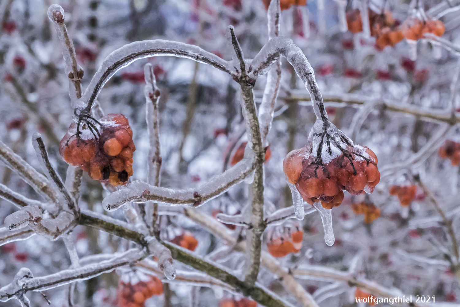 Erinnerungen an den letzten Winter