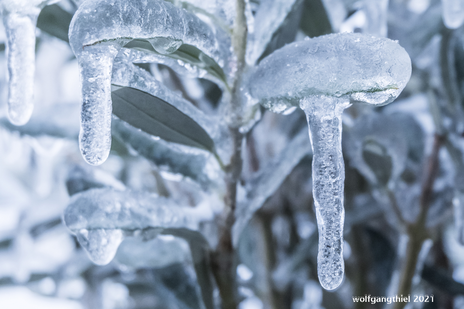 Erinnerungen an den letzten Winter