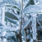 Erinnerungen an den letzten Winter