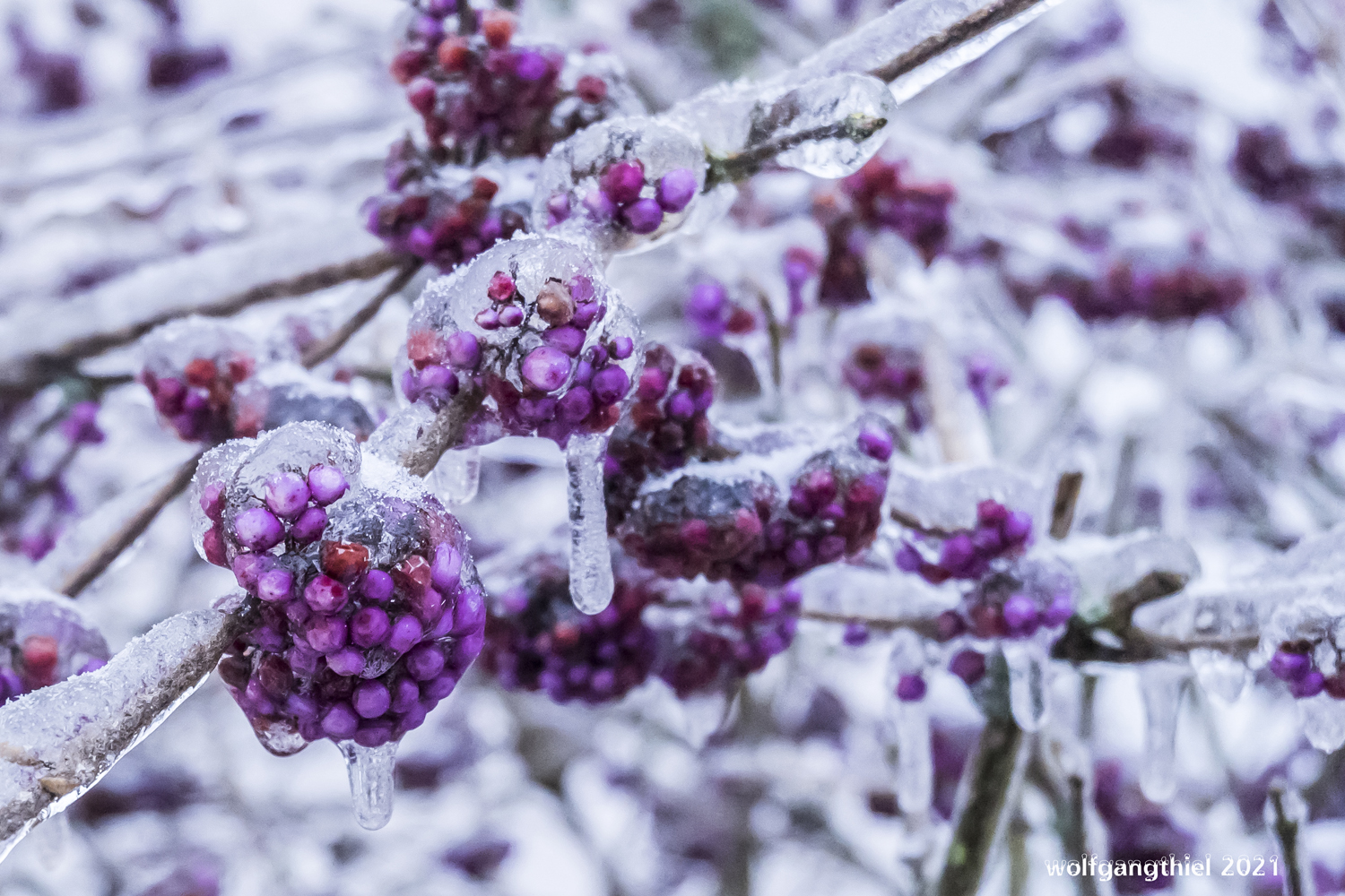 Erinnerungen an den letzten Winter