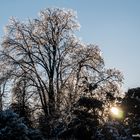 Erinnerungen an den letzten Winter