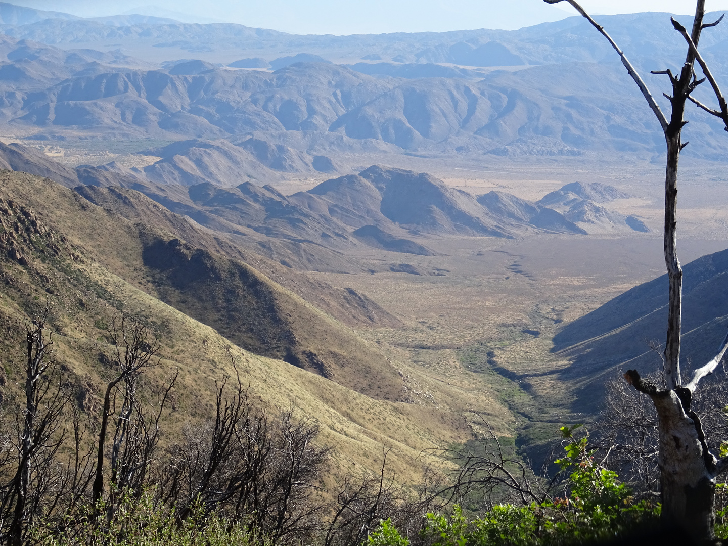 Erinnerungen an den Pacifik Crest Trail