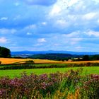 Erinnerungen an den Sommer