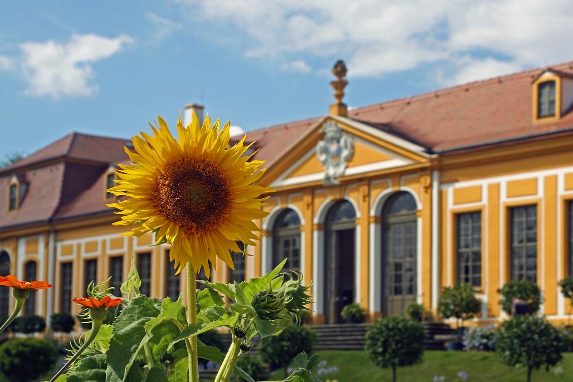 Erinnerungen an den Sommer