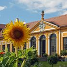 Erinnerungen an den Sommer