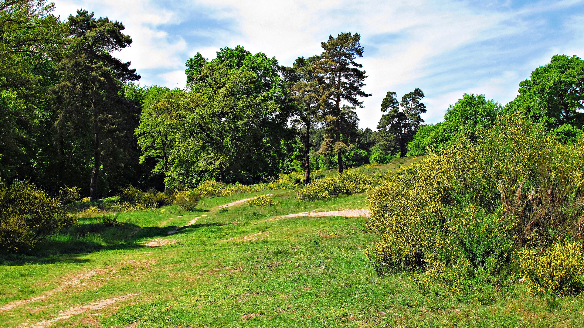 Erinnerungen an den Sommer