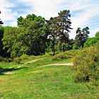 Erinnerungen an den Sommer