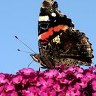 Erinnerungen an den Sommer 2