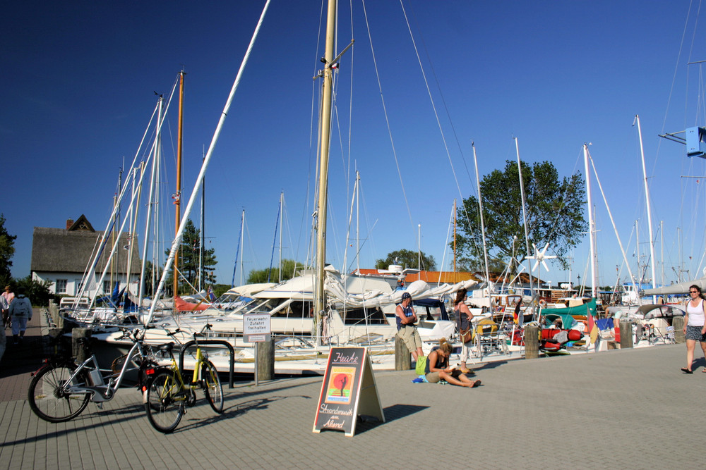 Erinnerungen an den Sommer 2008: Hafen Neuendorf 1