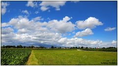 Erinnerungen an den Sommer 2012