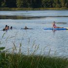 Erinnerungen an den Sommer 2019