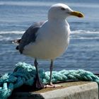 Erinnerungen an den Sommer