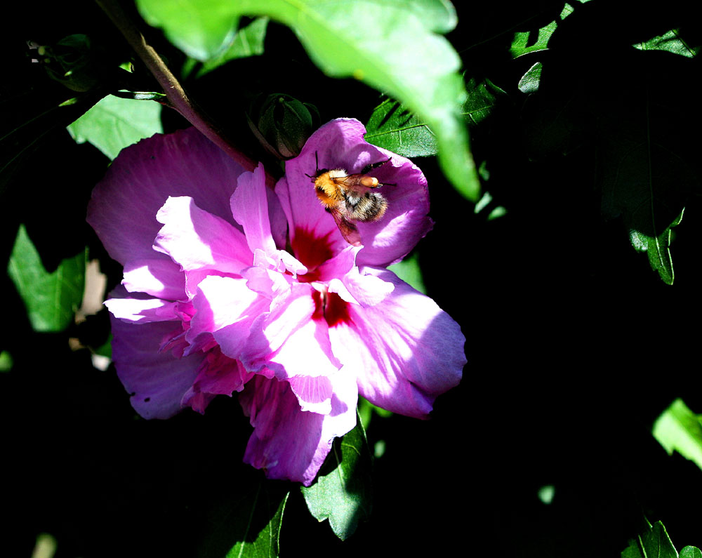 Erinnerungen an den Sommer