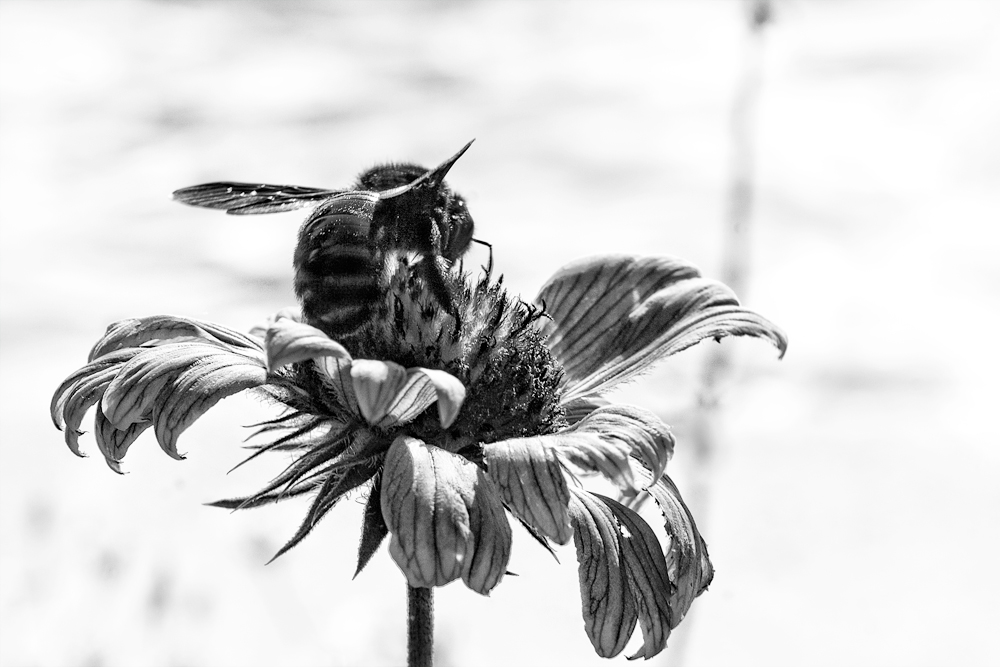 Erinnerungen an den Sommer