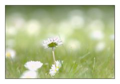 Erinnerungen an den Sommer