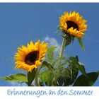 Erinnerungen an den Sommer