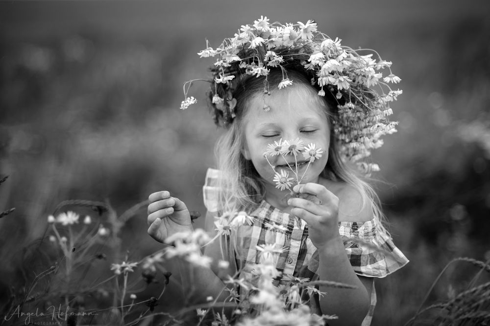 Erinnerungen an den Sommer