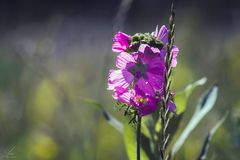 Erinnerungen an den Sommer