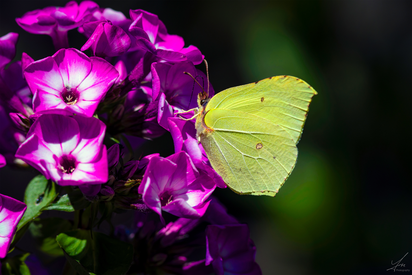 Erinnerungen an den Sommer