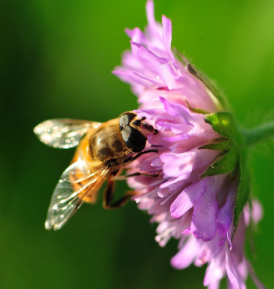 Erinnerungen an den Sommer