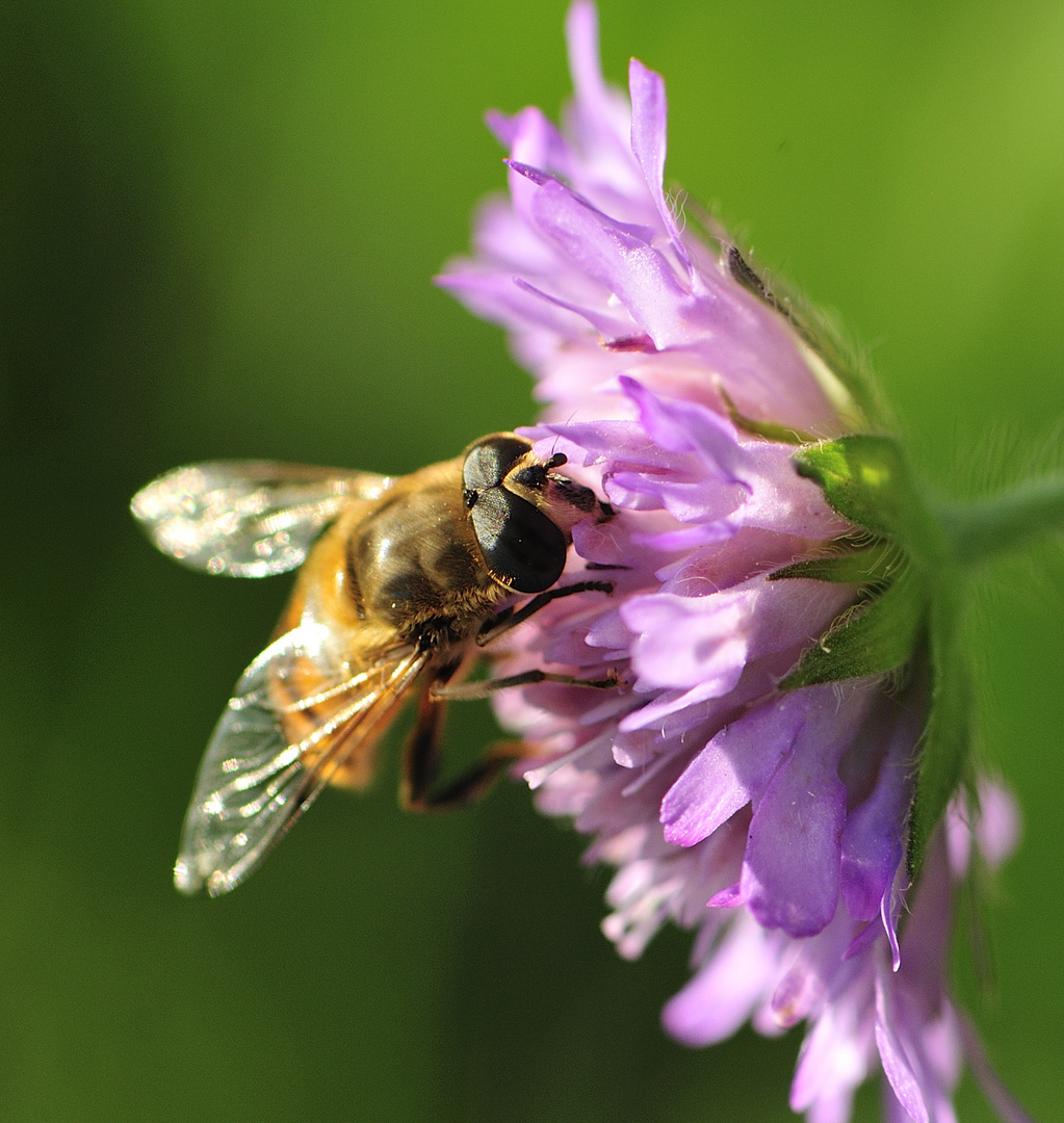 Erinnerungen an den Sommer