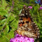 Erinnerungen an den Sommer