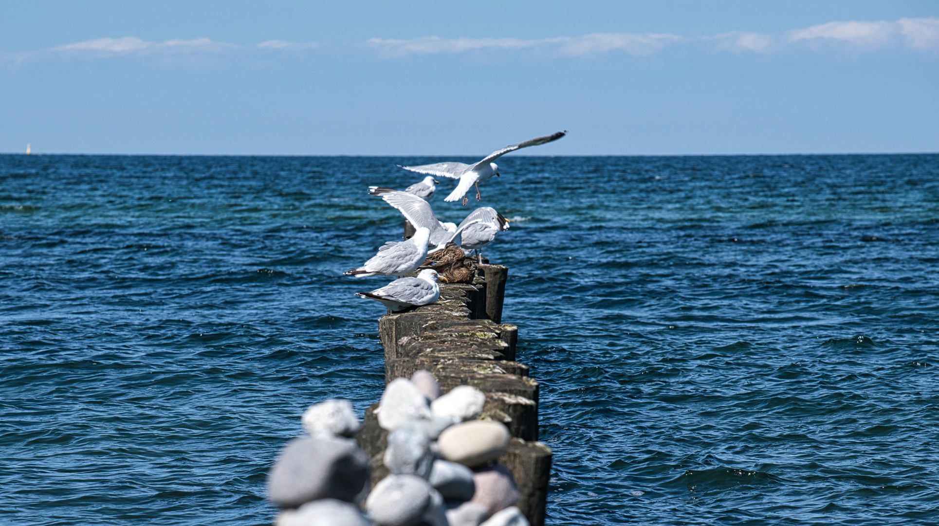Erinnerungen an den Sommer Foto & Bild wasser, sonne, ostsee Bilder