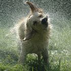 Erinnerungen an den Sommer