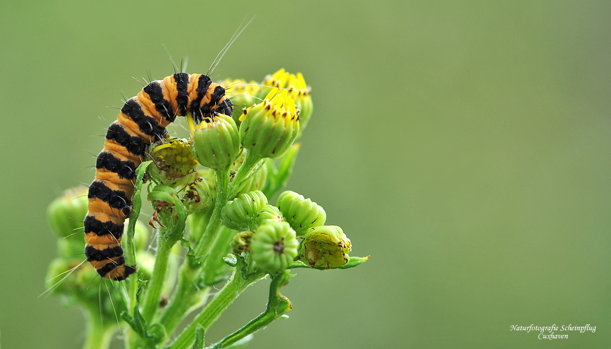 Erinnerungen an den Sommer