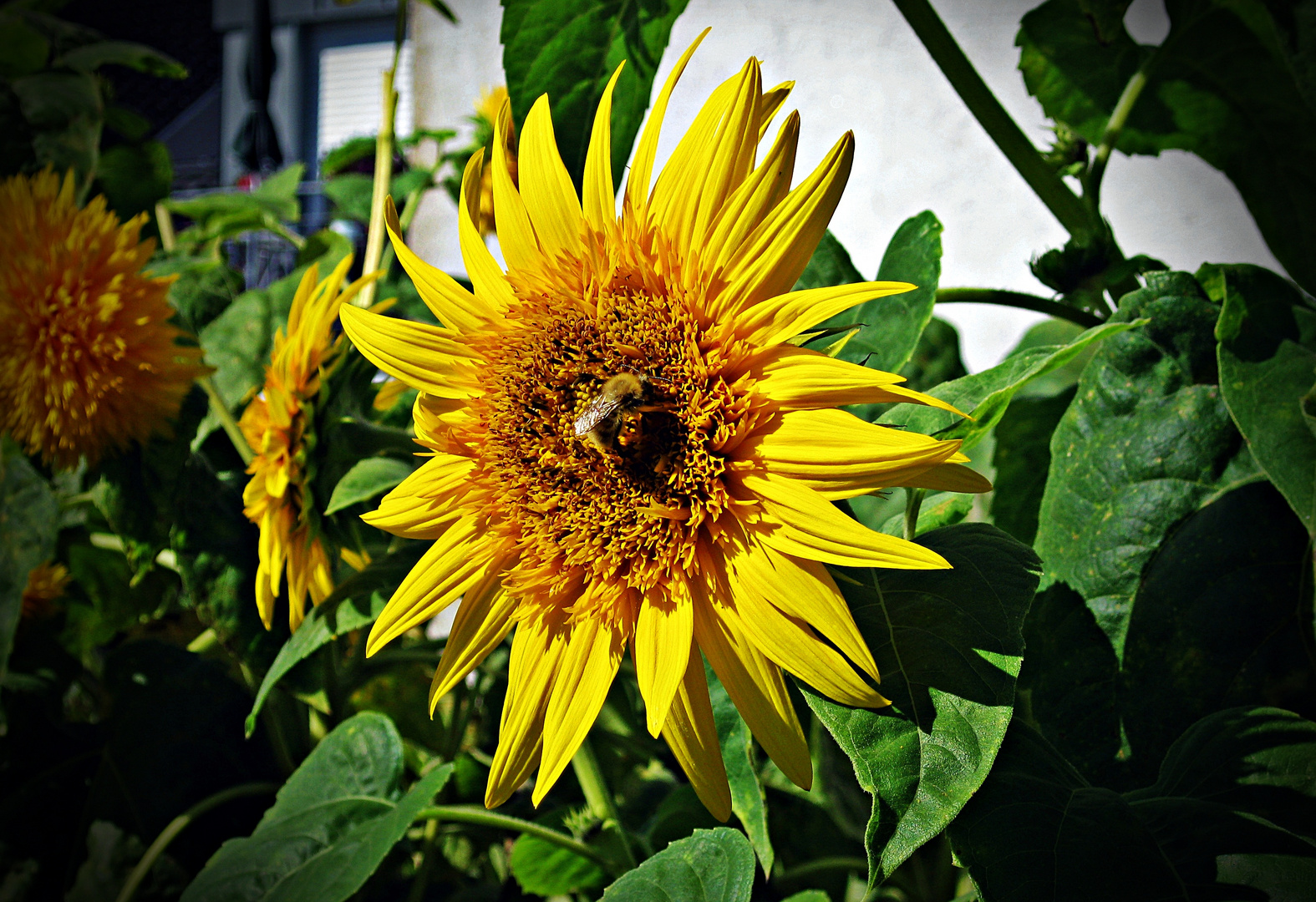 Erinnerungen an den Sommer