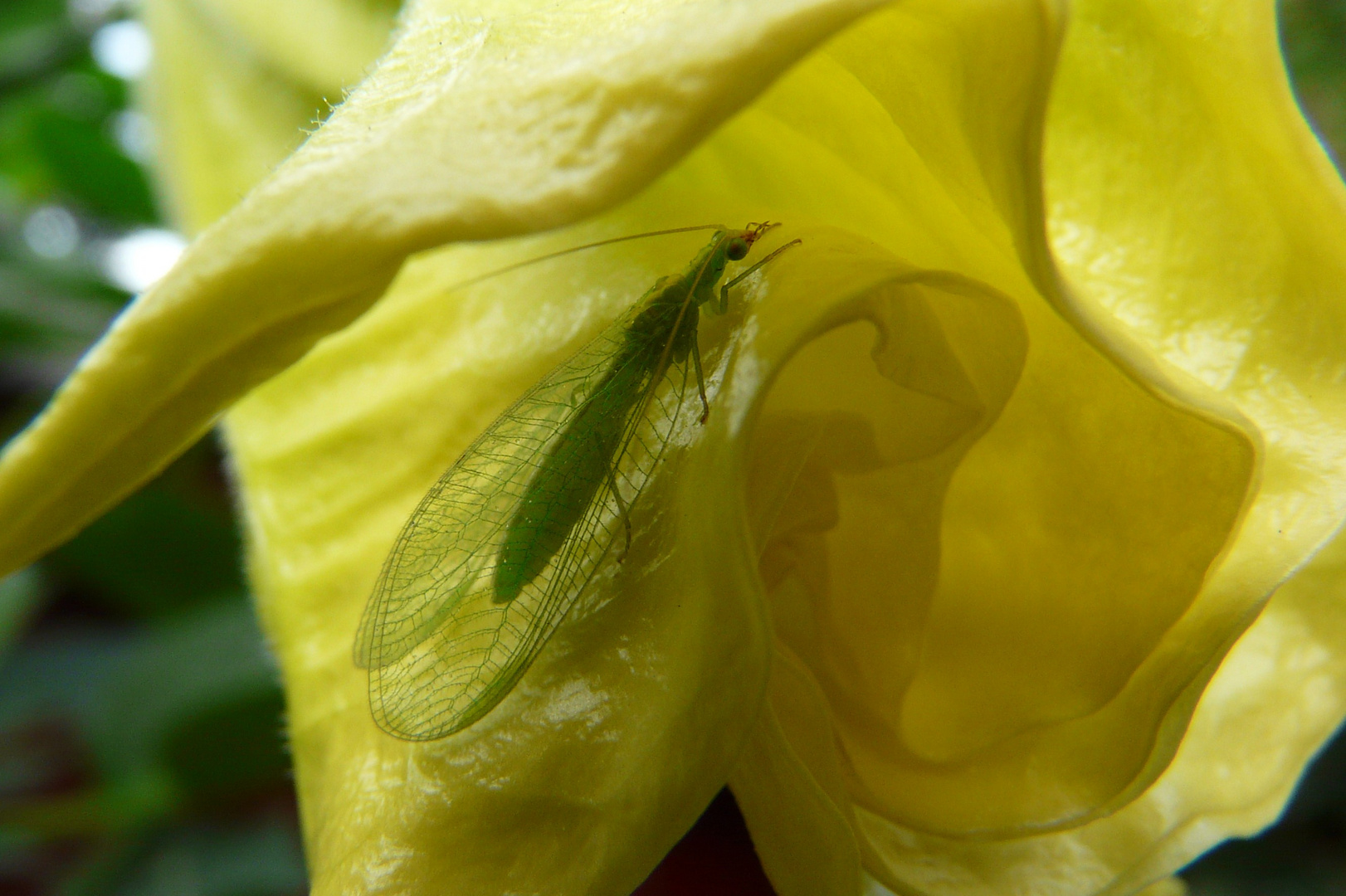 Erinnerungen an den vergangenen Sommer