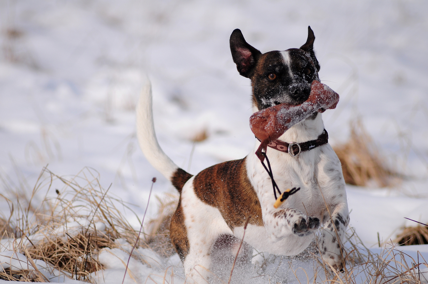 Erinnerungen an den Winter