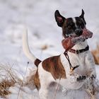 Erinnerungen an den Winter