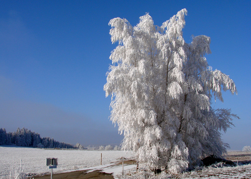 Erinnerungen an den Winter Teil 1