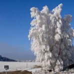 Erinnerungen an den Winter Teil 1