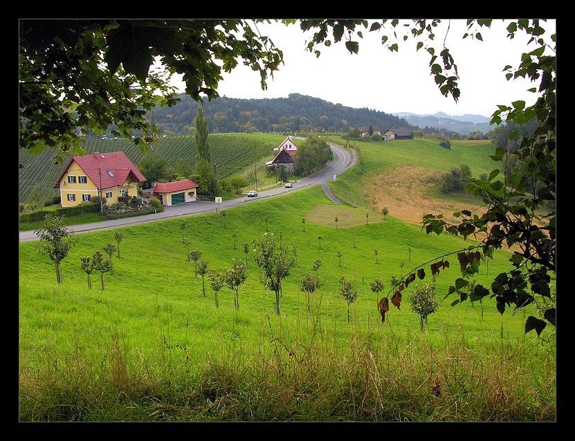 Erinnerungen an die südsteirische Weinstraße