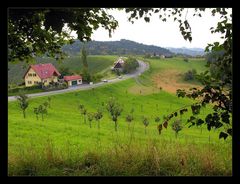 Erinnerungen an die südsteirische Weinstraße