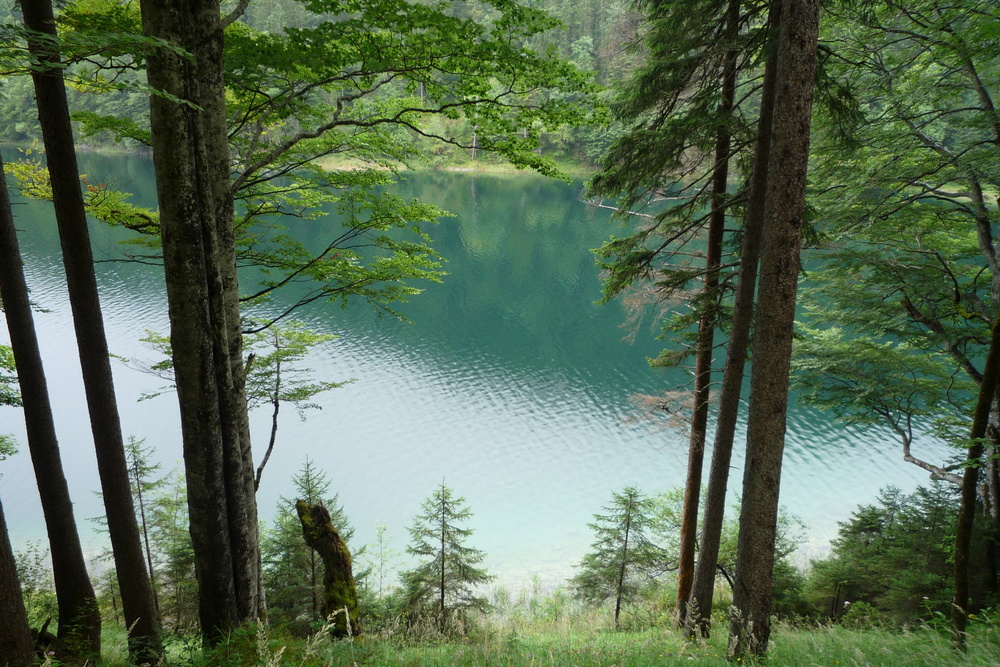 Erinnerungen an Eibsee die Zweite