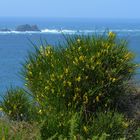 Erinnerungen an einen schönen Sommer in der Bretagne