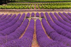 Provence