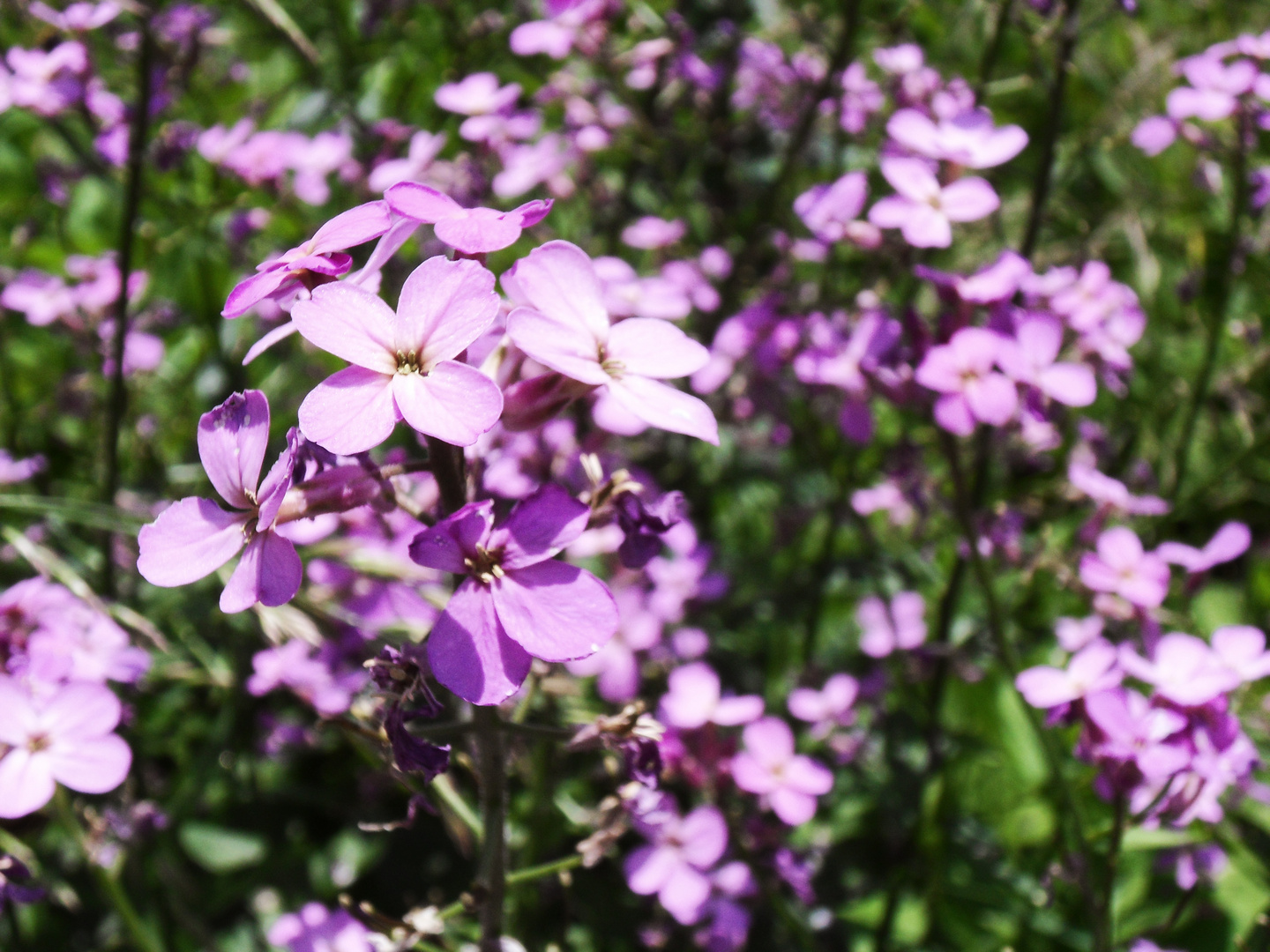 Erinnerungen an einen Sommer