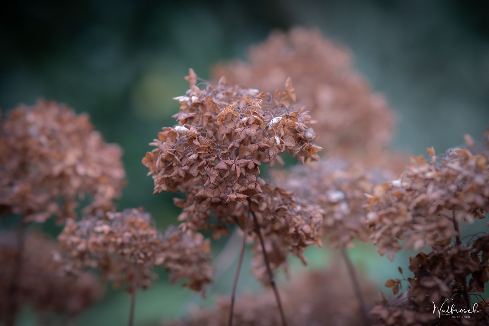 Erinnerungen an einen Sommer