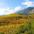 Erinnerungen an einen sonnigen September